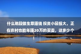 什么地段做生意赚钱 投资小回报大，正在农村也能年赚20万的买卖，这多少个值得一试