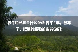 养牛的经验是什么经验 养牛4年，放弃了，把我的经验都告诉你们！