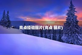 亮点经验图片(亮点 图片)