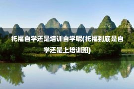 托福自学还是培训自学呢(托福到底是自学还是上培训班)