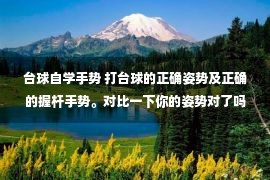 台球自学手势 打台球的正确姿势及正确的握杆手势。对比一下你的姿势对了吗?