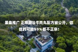 墨鱼推广 正宗潮汕牛肉丸配方被公开，你吃的可能99%都不正宗！