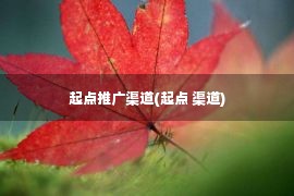 起点推广渠道(起点 渠道)