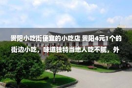 贵阳小吃街便宜的小吃店 贵阳4元1个的街边小吃，味道独特当地人吃不腻，外地人真的吃不惯