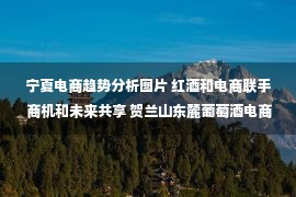 宁夏电商趋势分析图片 红酒和电商联手 商机和未来共享 贺兰山东麓葡萄酒电商节启幕 梁言顺张雨浦陈雍出席