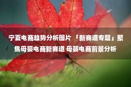 宁夏电商趋势分析图片 「新赛道专题」聚焦母婴电商新赛道 母婴电商前景分析