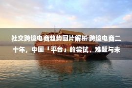 社交跨境电商趋势图片解析 跨境电商二十年，中国「平台」的尝试、难题与未来