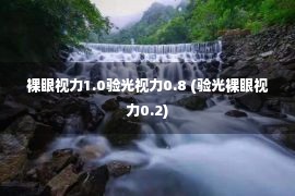 裸眼视力1.0验光视力0.8 (验光裸眼视力0.2)