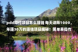 pdd赔付项目怎么赚钱 每天进账1000，年赚30万的赚钱项目揭秘！简单易操作