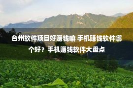 台州软件项目好赚钱嘛 手机赚钱软件哪个好？手机赚钱软件大盘点