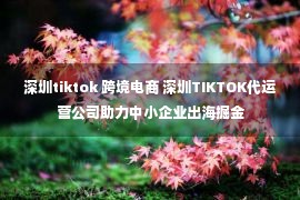 深圳tiktok 跨境电商 深圳TIKTOK代运营公司助力中小企业出海掘金