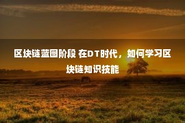 区块链蓝图阶段 在DT时代，如何学习区块链知识技能