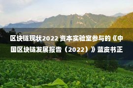 区块链现状2022 资本实验室参与的《中国区块链发展报告（2022）》蓝皮书正式发布