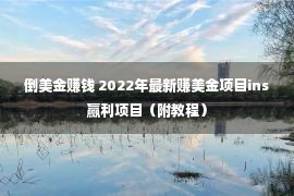 倒美金赚钱 2022年最新赚美金项目ins赢利项目（附教程）