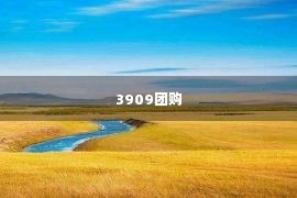 3909团购