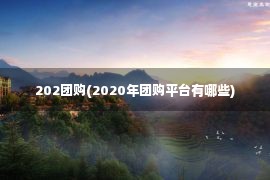 202团购(2020年团购平台有哪些)