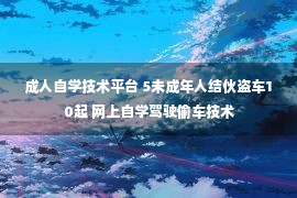 成人自学技术平台 5未成年人结伙盗车10起 网上自学驾驶偷车技术