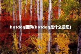 hotdog团购(hotdog是什么意思)