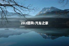 202团购:汽车之家