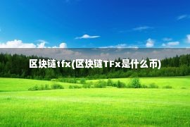 区块链tfx(区块链TFx是什么币)