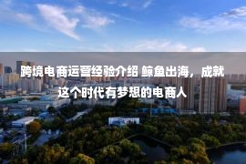 跨境电商运营经验介绍 鲸鱼出海，成就这个时代有梦想的电商人