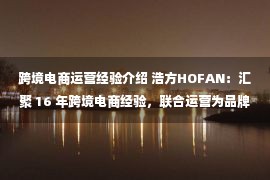 跨境电商运营经验介绍 浩方HOFAN：汇聚 16 年跨境电商经验，联合运营为品牌出海保驾护航