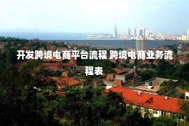 开发跨境电商平台流程 跨境电商业务流程表