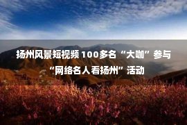 扬州风景短视频 100多名“大咖”参与“网络名人看扬州”活动