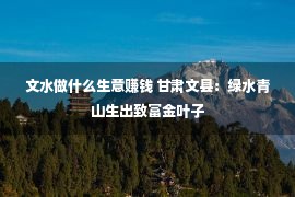 文水做什么生意赚钱 甘肃文县：绿水青山生出致富金叶子