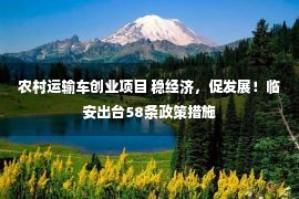 农村运输车创业项目 稳经济，促发展！临安出台58条政策措施