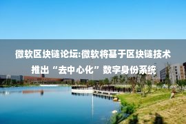 微软区块链论坛:微软将基于区块链技术 推出“去中心化”数字身份系统