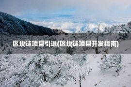 区块链项目引进(区块链项目开发指南)