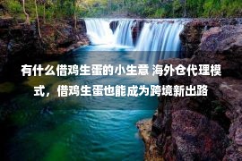 有什么借鸡生蛋的小生意 海外仓代理模式，借鸡生蛋也能成为跨境新出路