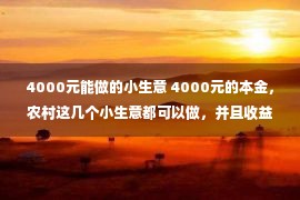 4000元能做的小生意 4000元的本金，农村这几个小生意都可以做，并且收益都不低