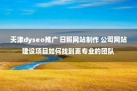 天津dyseo推广 日照网站制作 公司网站建设项目如何找到更专业的团队