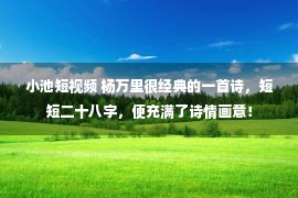 小池短视频 杨万里很经典的一首诗，短短二十八字，便充满了诗情画意！