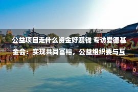 公益项目走什么资金好赚钱 专访爱德基金会：实现共同富裕，公益组织要与互联网平台“协同互补，共振共创”