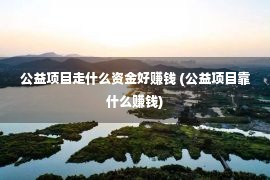 公益项目走什么资金好赚钱 (公益项目靠什么赚钱)