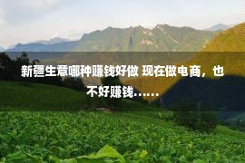 新疆生意哪种赚钱好做 现在做电商，也不好赚钱……