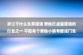 浙江干什么生意赚钱 宠物已成最赚钱的行业之一 平阳有个宠物小镇专做这门生意