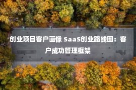 创业项目客户画像 SaaS创业路线图：客户成功管理框架