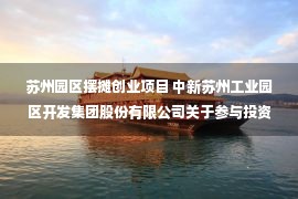 苏州园区摆摊创业项目 中新苏州工业园区开发集团股份有限公司关于参与投资苏州远毅博源创业投资合伙企业（有限合伙）的公告