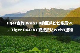 tiger合约:Web2.0的巨头纷纷布局VC，Tiger DAO VC或成抵达Web3捷径