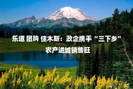 乐道 团购 佳木斯：政企携手“三下乡”  农产进城销售旺