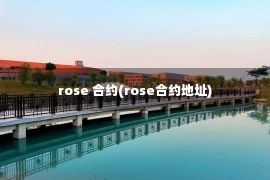 rose 合约(rose合约地址)