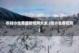 农村小生意最新视频大全 (做小生意视频)