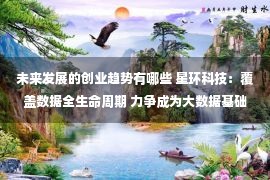 未来发展的创业趋势有哪些 星环科技：覆盖数据全生命周期 力争成为大数据基础软件行业引领者