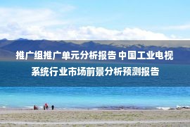 推广组推广单元分析报告 中国工业电视系统行业市场前景分析预测报告