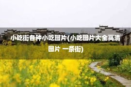 小吃街各种小吃图片(小吃图片大全高清图片 一条街)