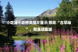 小吃城小吃种类图片展示 想吃“古早味”，就来这座城